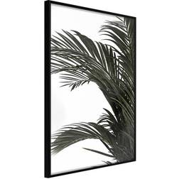 Arkiio Affisch Jungle Treasures [Poster] 30x45 Poster